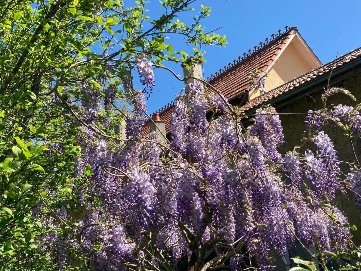 Domaine La Jam Marciac Exterior foto